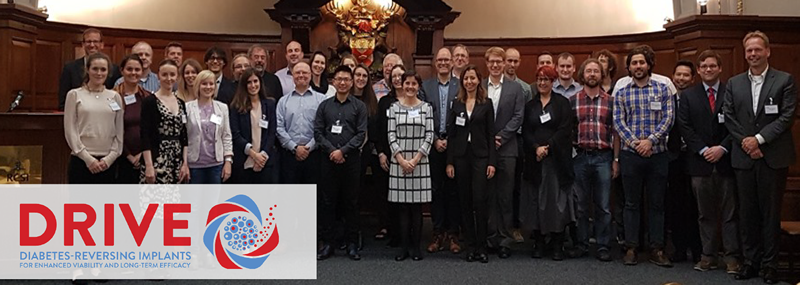 DRIVE Expert Advisory Board and General Assembly meeting held in RCSI Dublin