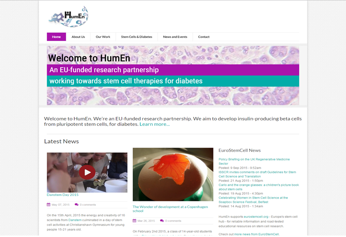 HumEn project (Upscaling human insulin-producing beta cell production by efficient differentiation and expansion of endoderm progenitors)