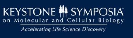 Diabetes: Innovations, Outcomes and Personalized Therapies  March 3-7, 2019