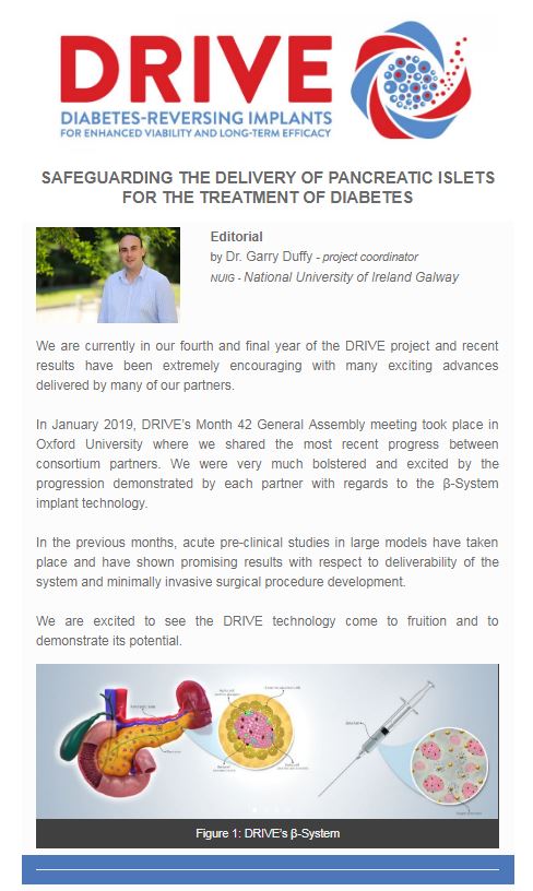 DRIVE Newsletter  - March 2019