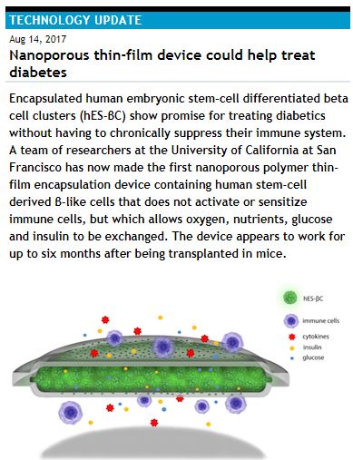 Nanoporous thin-film device could help treat diabetes