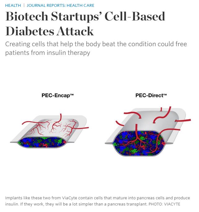 Biotech Startups’ Cell-Based Diabetes Attack